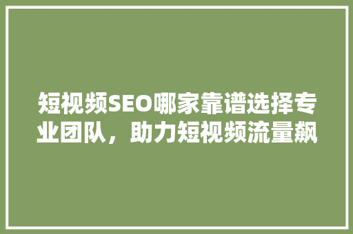短视频SEO哪家靠谱选择专业团队，助力短视频流量飙升