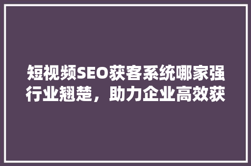 短视频SEO获客系统哪家强行业翘楚，助力企业高效获客