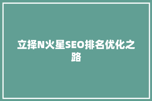 立择N火星SEO排名优化之路