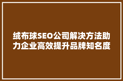 绒布球SEO公司解决方法助力企业高效提升品牌知名度
