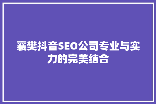 襄樊抖音SEO公司专业与实力的完美结合