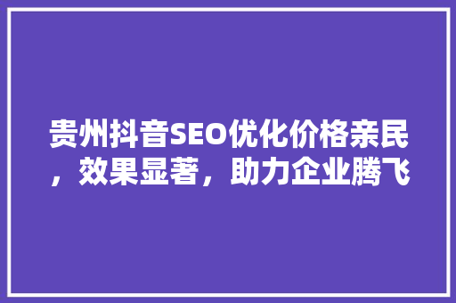 贵州抖音SEO优化价格亲民，效果显著，助力企业腾飞