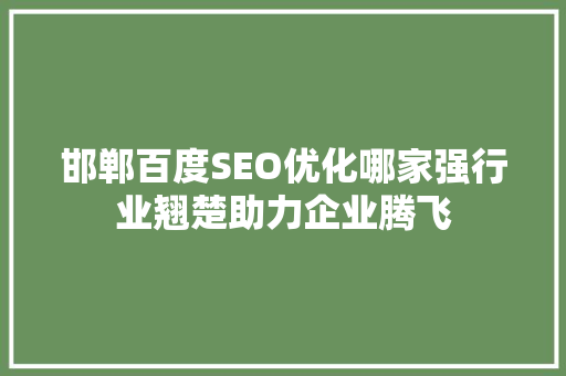 邯郸百度SEO优化哪家强行业翘楚助力企业腾飞