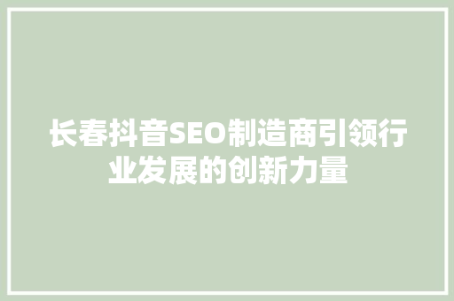 长春抖音SEO制造商引领行业发展的创新力量