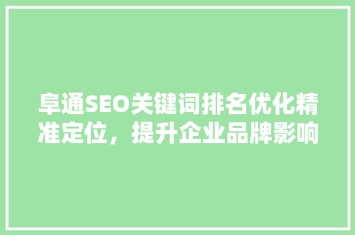 阜通SEO关键词排名优化精准定位，提升企业品牌影响力