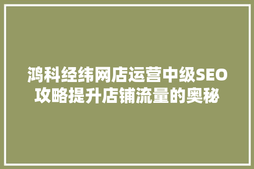 鸿科经纬网店运营中级SEO攻略提升店铺流量的奥秘