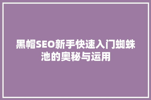 黑帽SEO新手快速入门蜘蛛池的奥秘与运用