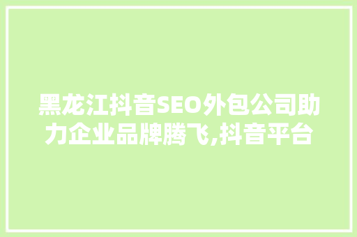 黑龙江抖音SEO外包公司助力企业品牌腾飞,抖音平台营销新步骤