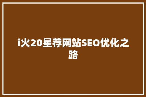 i火20星荐网站SEO优化之路