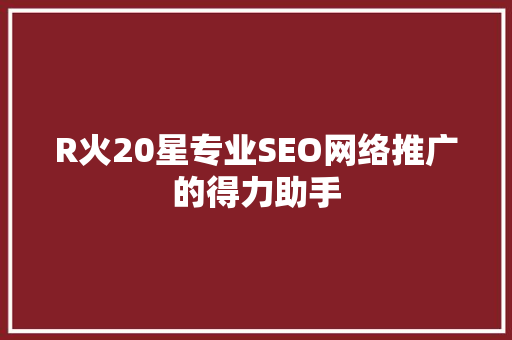 R火20星专业SEO网络推广的得力助手