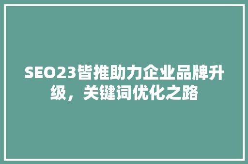 SEO23皆推助力企业品牌升级，关键词优化之路