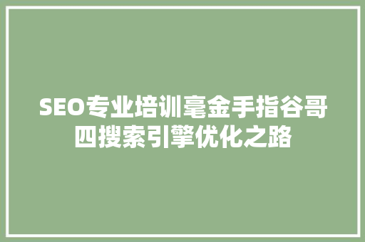 SEO专业培训毫金手指谷哥四搜索引擎优化之路