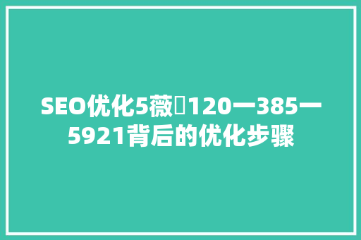 SEO优化5薇伈120一385一5921背后的优化步骤