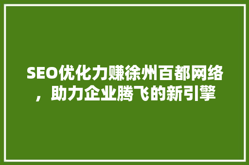 SEO优化力赚徐州百都网络，助力企业腾飞的新引擎