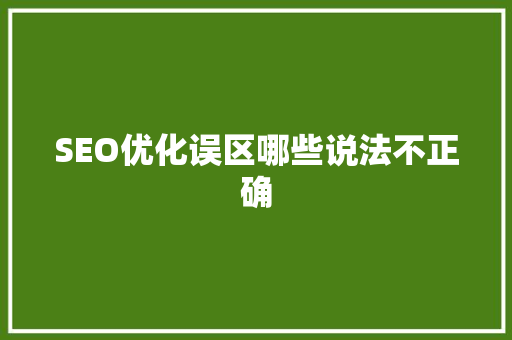 SEO优化误区哪些说法不正确