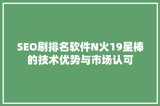 SEO刷排名软件N火19星棒的技术优势与市场认可