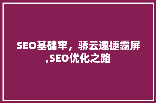SEO基础牢，骄云速捷霸屏,SEO优化之路