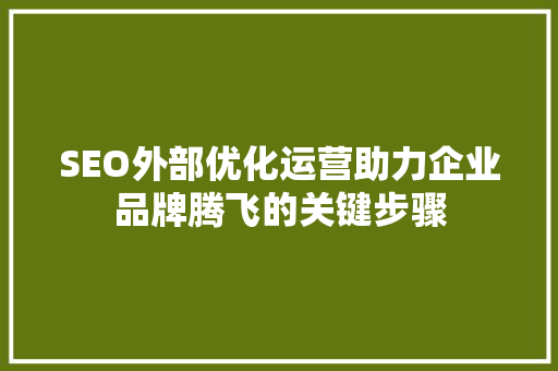 SEO外部优化运营助力企业品牌腾飞的关键步骤
