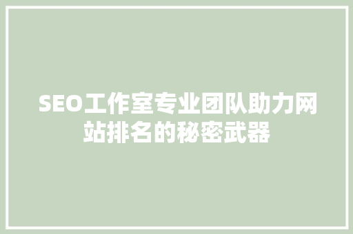 SEO工作室专业团队助力网站排名的秘密武器