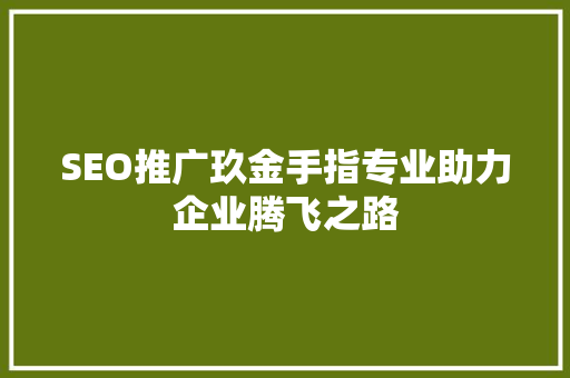 SEO推广玖金手指专业助力企业腾飞之路