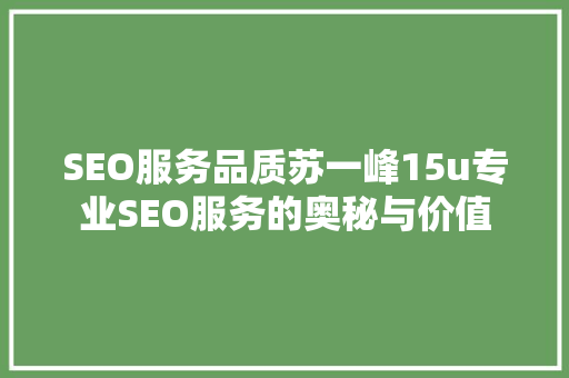 SEO服务品质苏一峰15u专业SEO服务的奥秘与价值