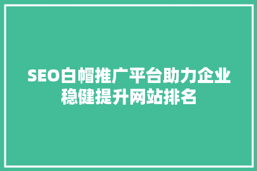 SEO白帽推广平台助力企业稳健提升网站排名
