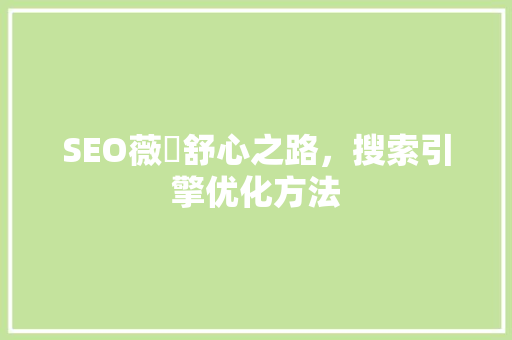 SEO薇伈舒心之路，搜索引擎优化方法