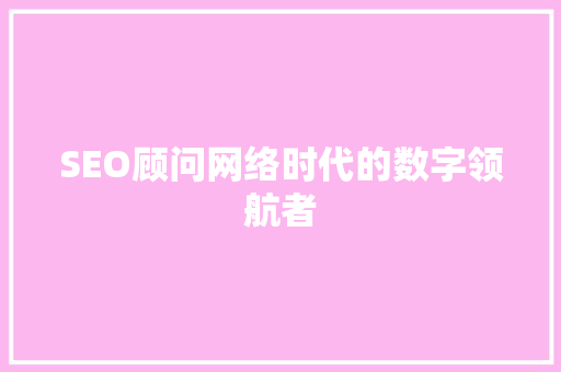 SEO顾问网络时代的数字领航者