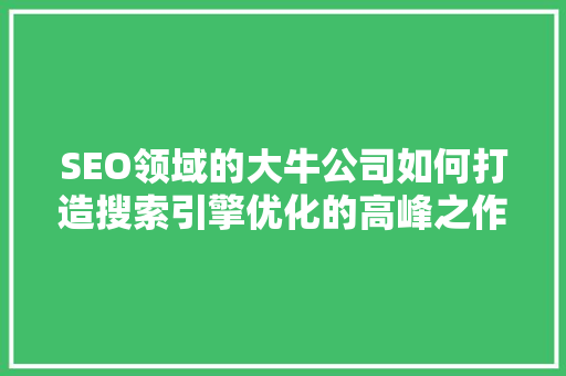 SEO领域的大牛公司如何打造搜索引擎优化的高峰之作