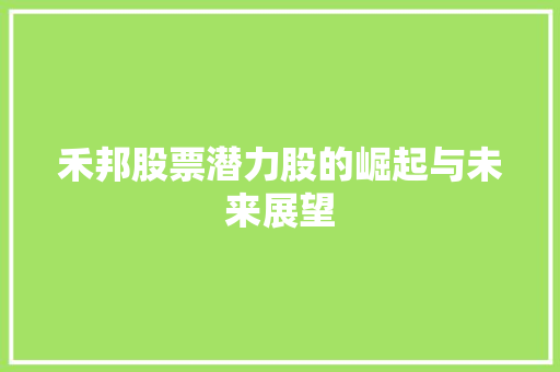 禾邦股票潜力股的崛起与未来展望