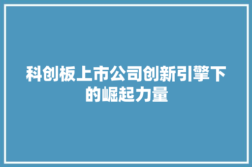 科创板上市公司创新引擎下的崛起力量