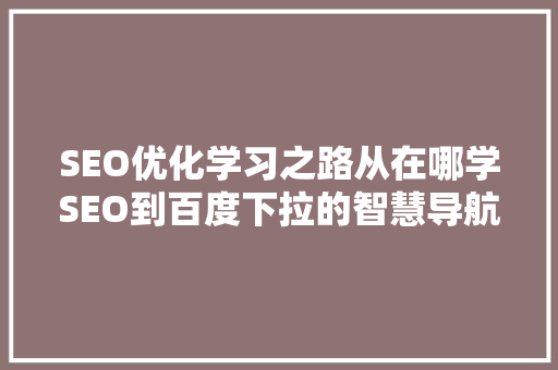 SEO优化学习之路从在哪学SEO到百度下拉的智慧导航