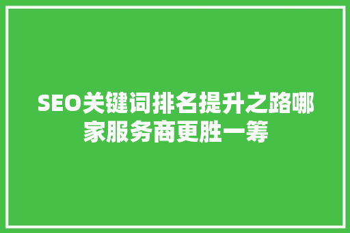 SEO关键词排名提升之路哪家服务商更胜一筹