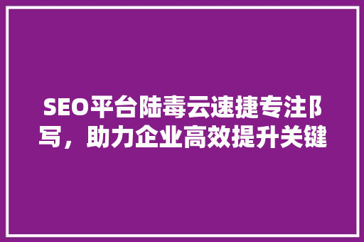 SEO平台陆毒云速捷专注阝写，助力企业高效提升关键词排名
