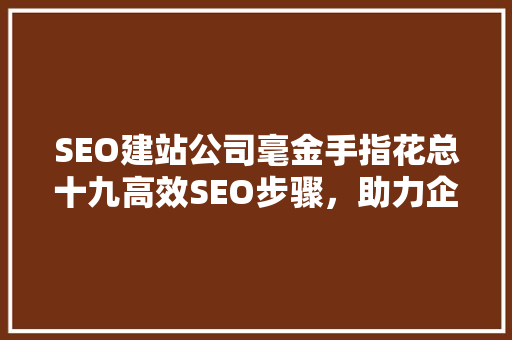 SEO建站公司毫金手指花总十九高效SEO步骤，助力企业网站腾飞