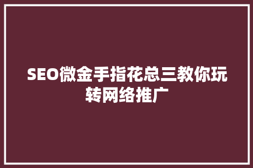 SEO微金手指花总三教你玩转网络推广