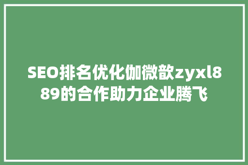 SEO排名优化伽微歆zyxl889的合作助力企业腾飞  第1张