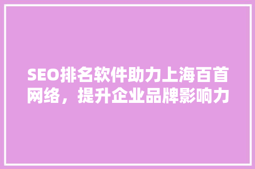 SEO排名软件助力上海百首网络，提升企业品牌影响力