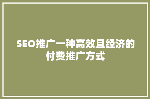 SEO推广一种高效且经济的付费推广方式