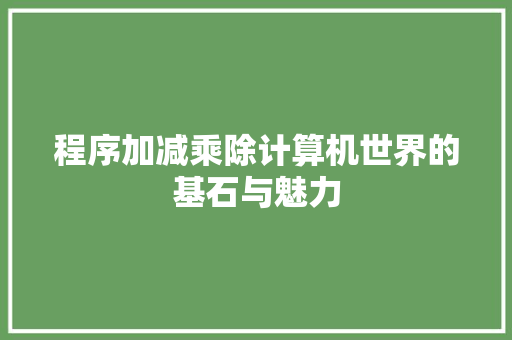 程序加减乘除计算机世界的基石与魅力