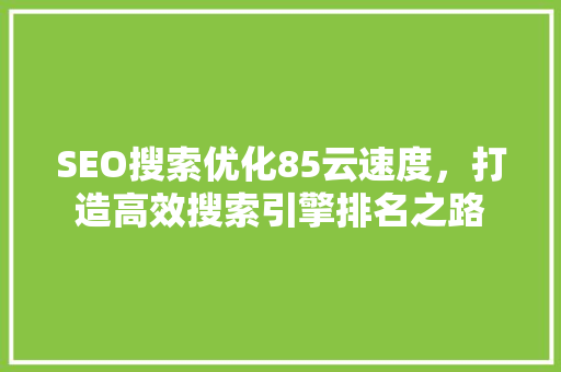 SEO搜索优化85云速度，打造高效搜索引擎排名之路