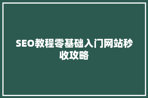 SEO教程零基础入门网站秒收攻略