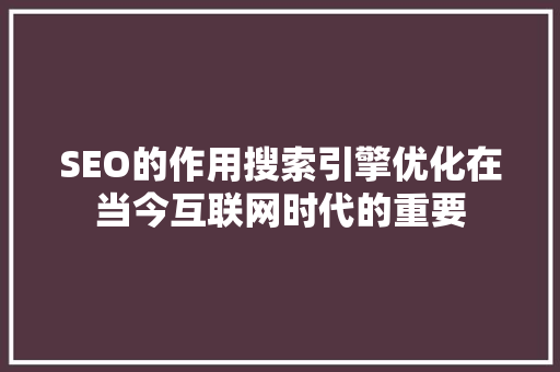 SEO的作用搜索引擎优化在当今互联网时代的重要  第1张