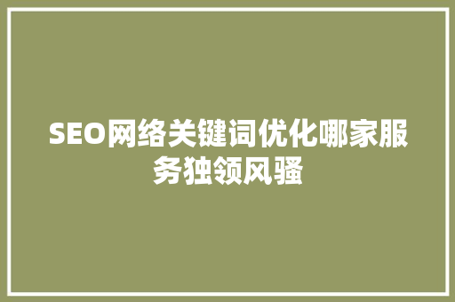 SEO网络关键词优化哪家服务独领风骚