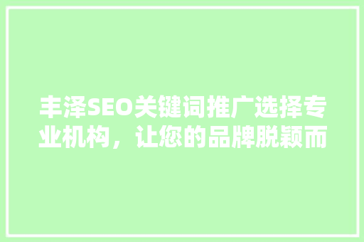 丰泽SEO关键词推广选择专业机构，让您的品牌脱颖而出