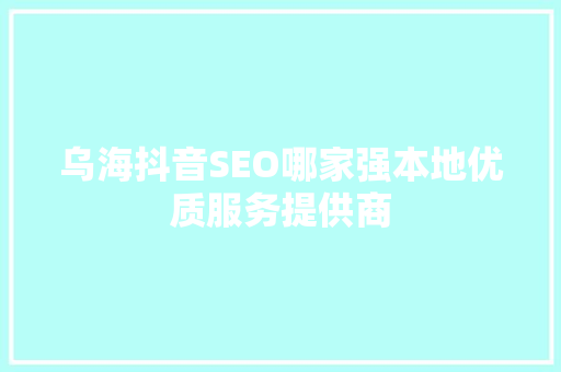乌海抖音SEO哪家强本地优质服务提供商