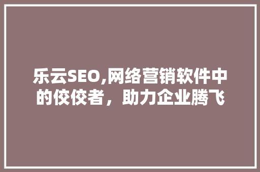 乐云SEO,网络营销软件中的佼佼者，助力企业腾飞
