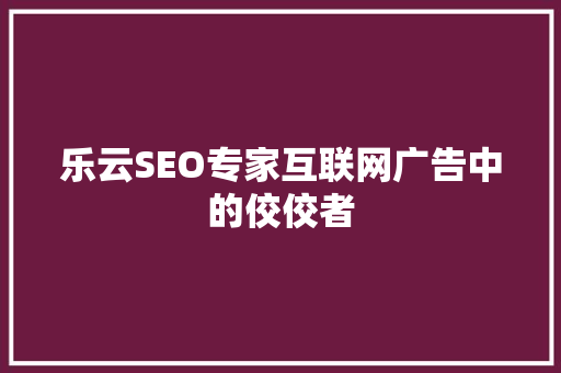 乐云SEO专家互联网广告中的佼佼者