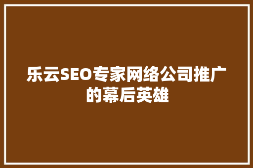 乐云SEO专家网络公司推广的幕后英雄