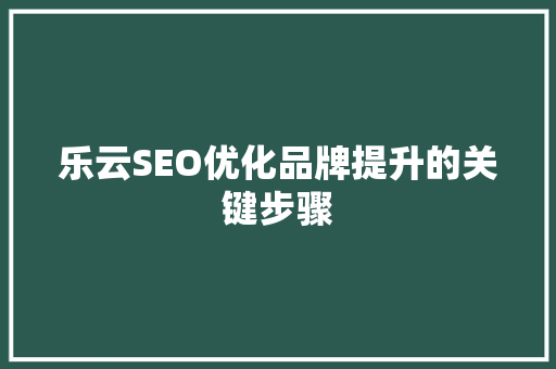 乐云SEO优化品牌提升的关键步骤